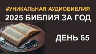 День 65. Библия за год. Библейский ультрамарафон портала «Иисус»