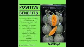 Muskmelon Benefits for humans health