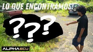 Nos encontramos un Barn Find?!? Reviviendo muertos con AlphaX!