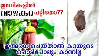 തുണികളിലെ വാഴകറ എത്ര പഴകിയാലും പാടുപോലും വരാതെ മാറ്റാം|How to remove banana stain|Stain removal tips