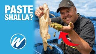 The Best Shallow Fishing Method EVER? | Paste Shallow!