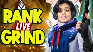 Fun Games Or Tryhard? | Valorant Live India