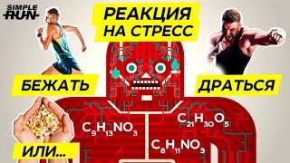 Как избавиться от стресса ?