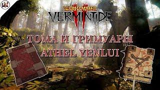 Тома и Гримуары на карте Athel Yenlui (Атель Йенлуй) [Warhammer: Vermintide 2]