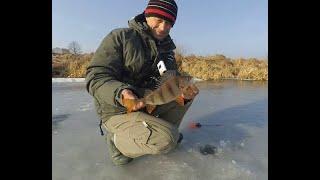 Прекраснейшая Зимова рибалка на річці, по останньому льоді.️ Кльов гарного ОКУНЯ на безмотилку.