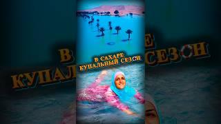 Пустыня Сахара ушла под воду#мирадио #islam #shorts