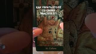 КАК УБРАТЬ ЕГО/ЕЁ СО СВОИХ МЫСЛЕЙ ??? #shorts #Barbara