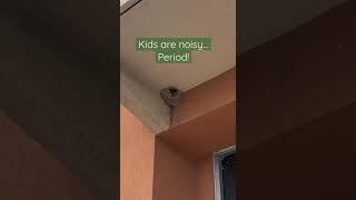 Kids are noisy!  #shorts #birds #animals #noisy #outdoors #babyanimals #babies