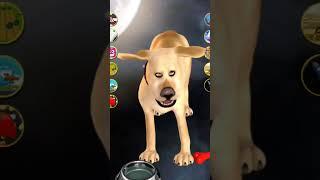 DOG Mating Work #subscribe #youtubeshorts #baby #gaming #viralvideo