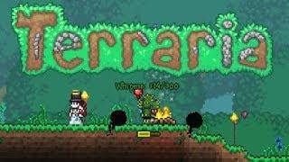 The Terraria Hazing Ritual - Stream Highlight