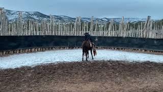 First Ride on Tenbrooks, a Rising K Ranch Horse