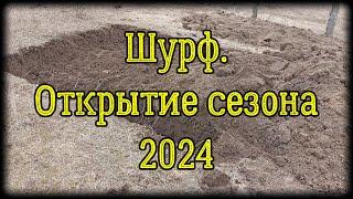 Шурф. Поиск монет и предметов старины 2024.