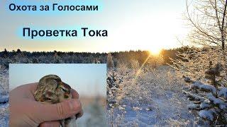 Охота за Голосами  -  Проверка Тока , Чечет по снегу