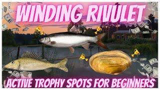 Russian Fishing 4 Active TROPHY Spots for Beginners (Winding Rivulet)