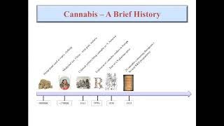 Jason McDougall: Cannabinoids in the Treatment of Arthritis Pain