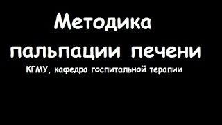 Методика пальпации печени по Образцову-Стражеско - meduniver.com