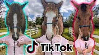 Recreating EQUESTRIAN TIK TOKS! PART 3!!