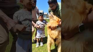 My Love  | #babybivein #bivein #mrbi #dog #pets #shorts #trending
