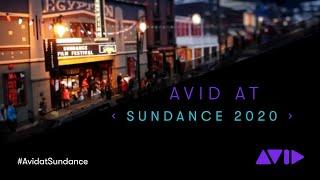 Avid Heads to Sundance 2020