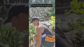 Prepping and Protecting Soil with Lasagna or Sheet Mulching Technique