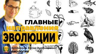 Типы эволюционного изменения. Главные направления эволюции