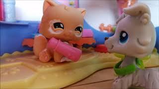 Littlest Pet Shop: The Blow Dryer Incident ((PG-13))