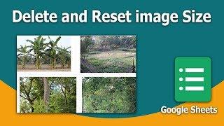 How to Delete and Reset image size from Sheets in Google Spreadsheet