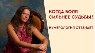 Когда воля сильнее судьбы? Нумерология по дате рождения.