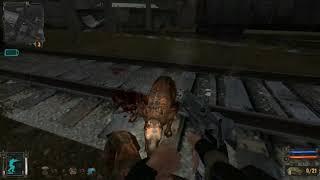 S.T.A.L.K.E.R. Зачистка #3. Контейнер Бармена, Тёмный Лекарь и поход на Янтарь