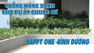 CẢNH QUAN XANH CHO KHU PHỨC HỢP GIẢI TRÍ, DỰ ÁN CHUNG CƯ HAPPY ONE BÌNH DƯƠNG