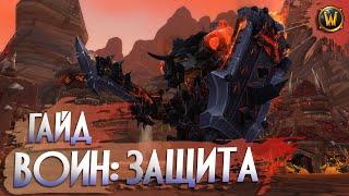 БФА • Воин: Защита • Гайд