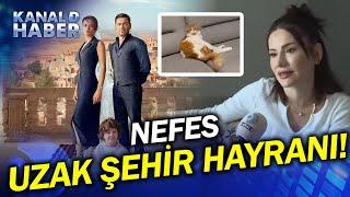 Uzak Şehir Fanı Nefes! "Kedim Nefes, Uzak Şehir'in Her Bölümünü İzliyor"