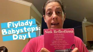 Flylady 31 Beginner Baby Steps - Day 1 | Shine Your Sink