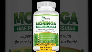 Moringa Magic: The Superfood Your Body Needs 