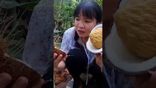 Cái Mộng dừa này có ăn được không các bạn | Huỳnh Như Vlogs #huynhnhuvlogs #shorts #anmongdua