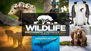 Wildlife Photography Conference 2024