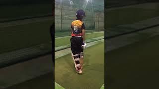 Insports cricket tour