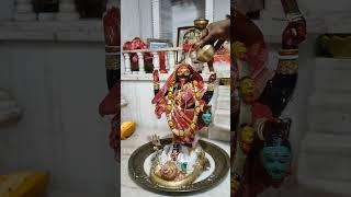 রাজরানীর স্নানাভিষেক  #maakali #kalipuja2024