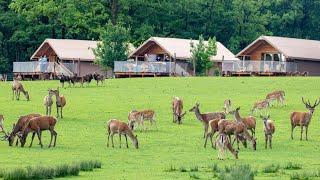 Most Beautiful Places in the World  (Day 5) | France, nature zoo