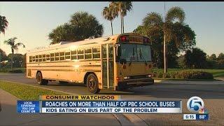 Roach problem on Palm Beach Co. school buses