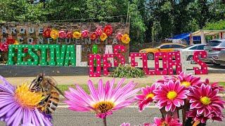 Festival de las flores en Jarabacoa  República Dominicana 2025