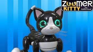 Zoomer Kitty from Spin Master