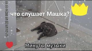 ТСС    Минуты музыки  Что слушает Машка?  #Маша #АдияиЖания #cat #animalcat #котики #музыка