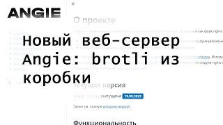 Новый веб-сервер Angie: brotli из коробки