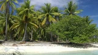 Raraka Atoll - 17 Acres - 55 000 000 FCFP - 600 000 USD