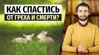 СПАСЕНИЕ В БИБЛИИ: как получить вечную жизнь?