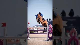 Floating ️#blowup #equestrianedit #music #showjumping #scope