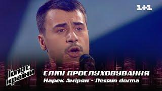 Нарек Амирян — "Nessun dorma" — выбор вслепую — Голос страны 12