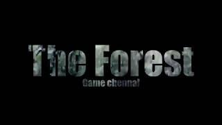 Forest intro