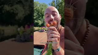 You can always grow your own #gardening #boatlife #smallspaceliving